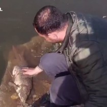 Sazanın hamile olduğunu görünce geri bıraktı