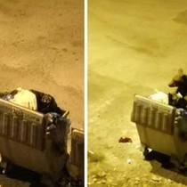 Yerleşim yerlerine inen bozayılara selfie için yaklaşmayın!