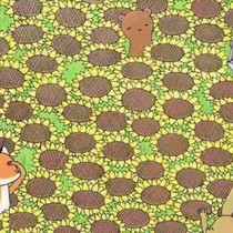 Dahileri asla oyalayamıyor! Resimdeki saklı kelebeği 5 saniyede bulmak için 130 IQ gerekiyor