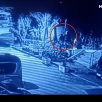 İstanbul'da kediye tekmeli saldırı
