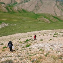 Uzmanlardan heliz otu ve mantar zehirlenmesi uyarısı