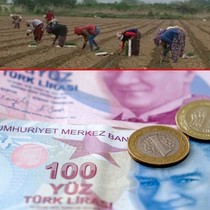 Konya'da tarım işçilerinin günlük yevmiyesi belli oldu