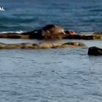 Antalya'da denizin ortasında görenler gözlerine inanamadı!