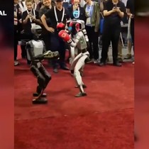 Çin'de insansı robotlar dövüştürüldü