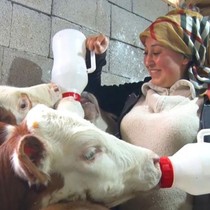 Kadınsın yapamazsın dediler, çiftlik kurdu
