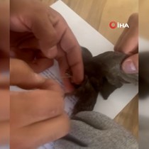 Ağlara takılan kuşu itfaiye kurtardı