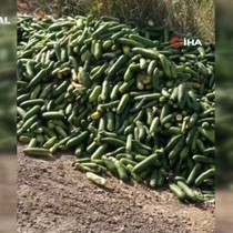 Salatalıkları sokağa attılar
