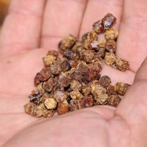 Bir çay kaşığı 1 kilo ete eşdeğer! Şimdi 3 bin TL’den satılıyor