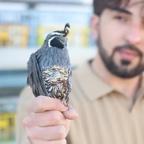 Yapamazsın Dediler! Şimdi 4 Bin Liradan Satıyor