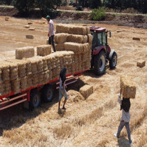 İşçiler kavurucu sıcakta ekmek parası kazanıyor