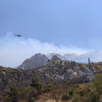 Hatay'da orman yangını