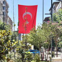 Siirt'te kamu binalarına ve caddelere "Terörsüz Türkiye"ye destek için Türk bayrakları asıldı