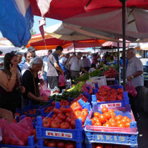 Erzincan domatesi çevre illerde sofraları süslüyor