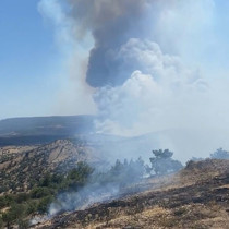 Çanakkale ve Tekirdağ'da orman yangınları