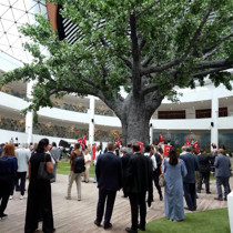 İletişim Başkanlığı'ndan "15 Temmuz Medya Programı"