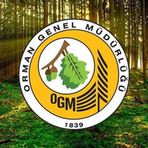 OGM'den Tekirdağ'daki orman yangınına ilişkin açıklama