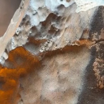 Nijer'in ıssız bir bölgesinde bulundu, 5,3 milyon dolara satıldı!