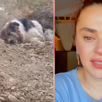 Ceylan Ertem, gündem olan köpeği sahiplendiği anları paylaştı