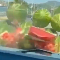 Karpuz tezgahına daldılar, “canımız sıkıldı” diyerek paylaştılar