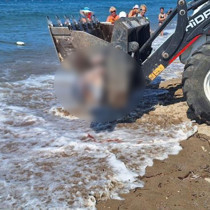 Bodrum’da turistleri şoke eden görüntü!