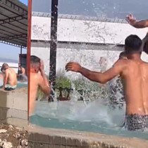 Kavurucusu sıcaktan bunalıp maydanoz havuzuna girdiler