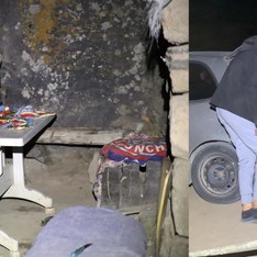 Piknik yapmaya geldiler, sofralarını ayılara bırakıp kaçtılar!