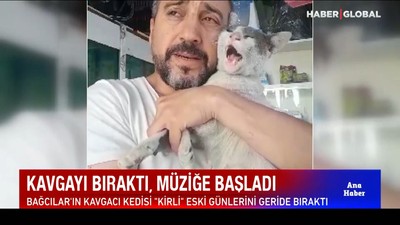 Bağcılar'ın psikopat kedisi 'Kirli' sakinleşti, türkücü oldu!