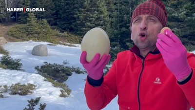 Ağrı Dağı' eteklerinden getirdiği deve kuşu yumurtasını karlar üzerinde yedi