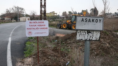 Hatay'da kuş gribi alarmı: Bir mahalle karantinaya alındı