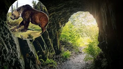 3,5 metrelik mağara ayısına ait ayak izleri bulundu!