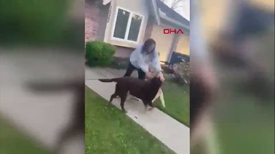 9 ay uzayda mahsur kalmıştı: Köpekleriyle buluştu