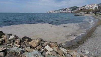 Marmara'da yeniden ortaya çıktı; vatandaşları endişe sardı