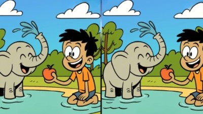 Yavru fili besleyen iki çocuk arasındaki 3 farkı sadece yüksek IQ'su olanlar 12 saniyede buluyor