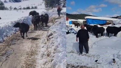 Hayvanları ile yaylada mahsur kaldı; 3 gün sonra kurtarıldı