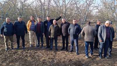 Meyve ağaçlarını 'zirai don' vurdu: Elmada yüzde 100'e ulaşan zarar var, kayısılar hiç kalmadı