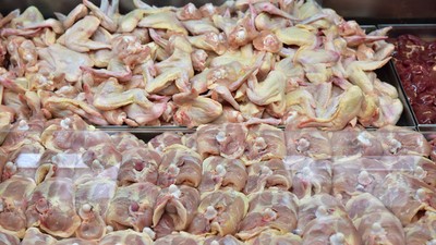 Tavuk eti zehirlenmelerine karşı mutlaka bilmeniz gerekenler: 3 büyük hata neden oluyor!