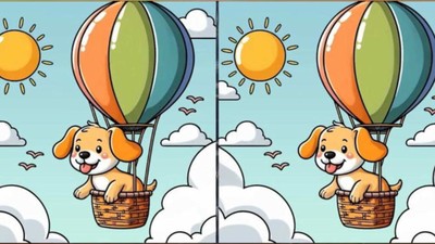 Sıcak hava balonuyla gezen iki köpek arasındaki 3 farkı sadece yüksek IQ'su olanlar 12 saniyede buluyor