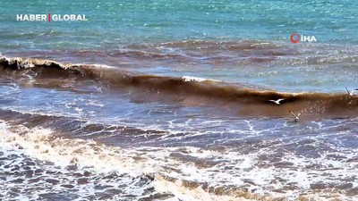Tekirdağ'da poyraz sonrası deniz yüzeyi kızıl yosunla kaplandı