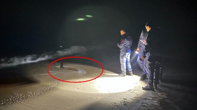 Sakarya'da sahile bir cisim vurdu; hemen oradan götürüldü