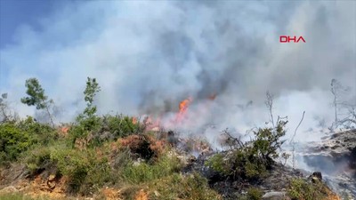 Alanya'da makilik yangını
