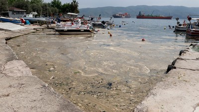 Kocaeli'nde tedirgin eden görüntüler: Kıyıdaki köpüksü tabaka için çalışma