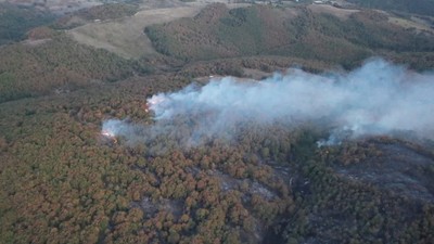 Kocaeli'de orman ve makilik alanlara giriş yasağı