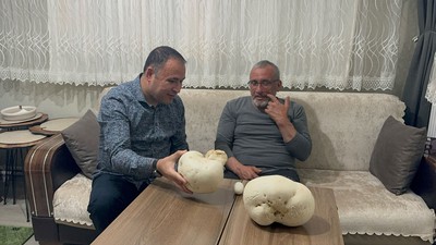 Ailesiyle çıktığı doğa yürüyüşünde bulup eve getirdi; gören herkes şaşırdı kaldı!