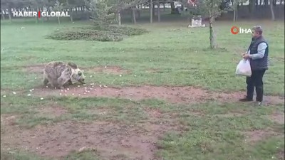 Bozayıyı elleri ile besledi