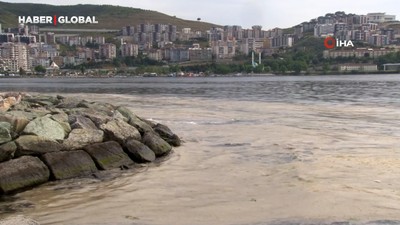 Gemlik Sahilleri'nde tehlikeli çanları! Müsilaj balık yumurtalarını öldürüyor