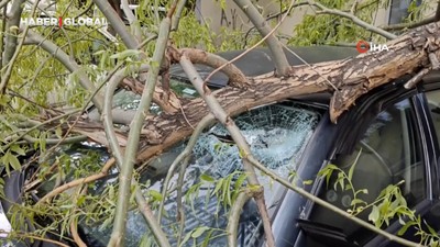 Rüzgarda kırılan ağaç dalı otomobillerin üzerine düştü