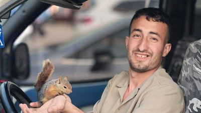 Eliyle beslediği sincap peşini bırakmadı