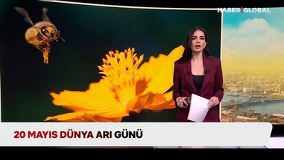 Bugün dünya arı günü, arıcılar bal sezonuna hazırlanıyor