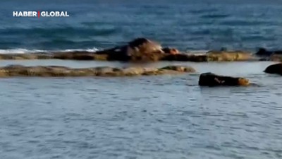 Antalya'da denizin ortasında görenler gözlerine inanamadı, ekipler harekete geçti
