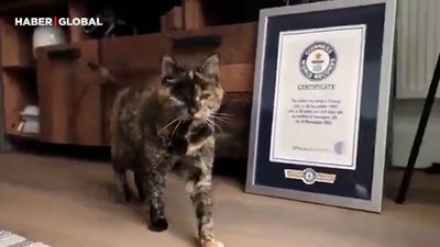Dünyanın en yaşlı kedisi 30 yaşına girdi